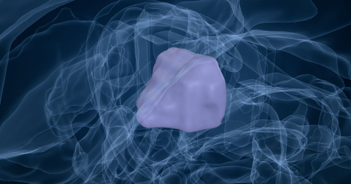 The anterior nucleus of the thalamus in a 3D model of the brain