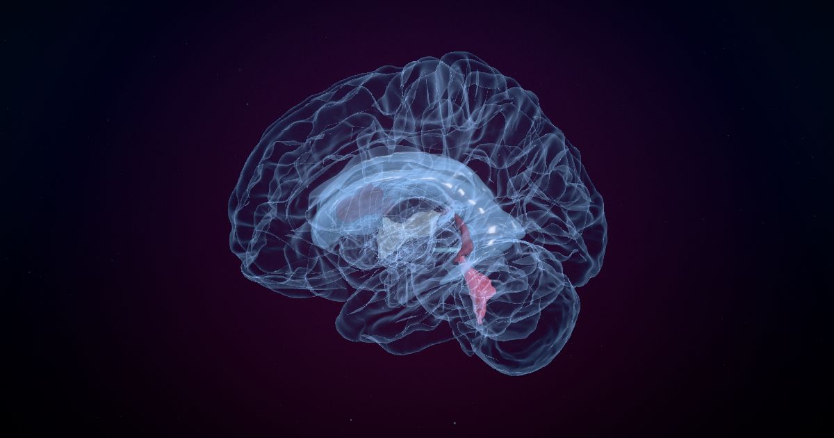 The fourth ventricle lit up in a 3D model of the human brain