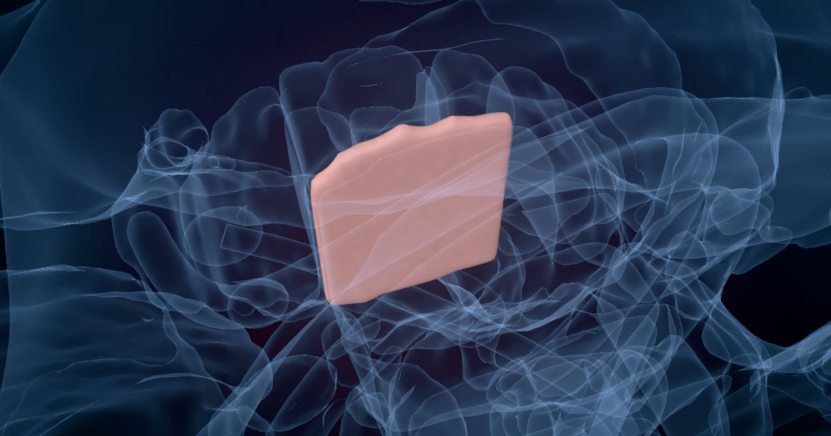 The midline and intralaminar nuclei of the thalamus lit up in a 3D model of the human brain