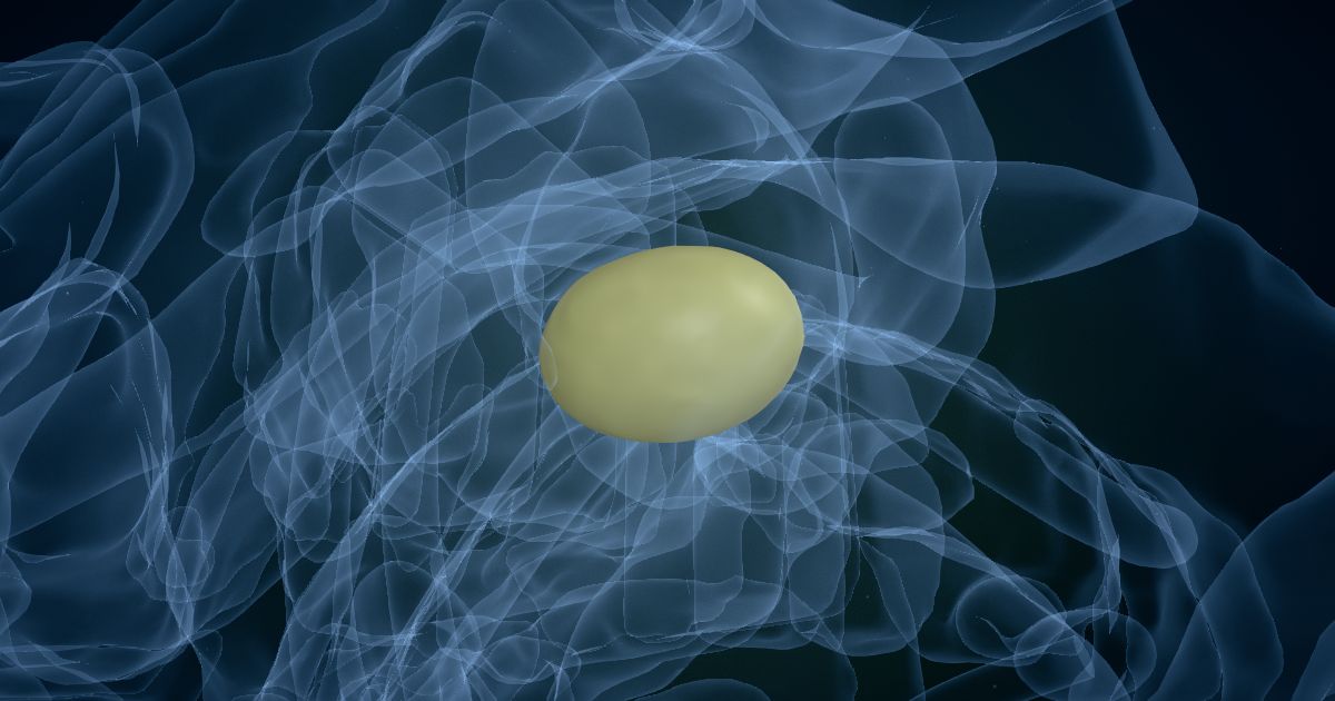 The lateral geniculate nucleus in a 3D model of the brain