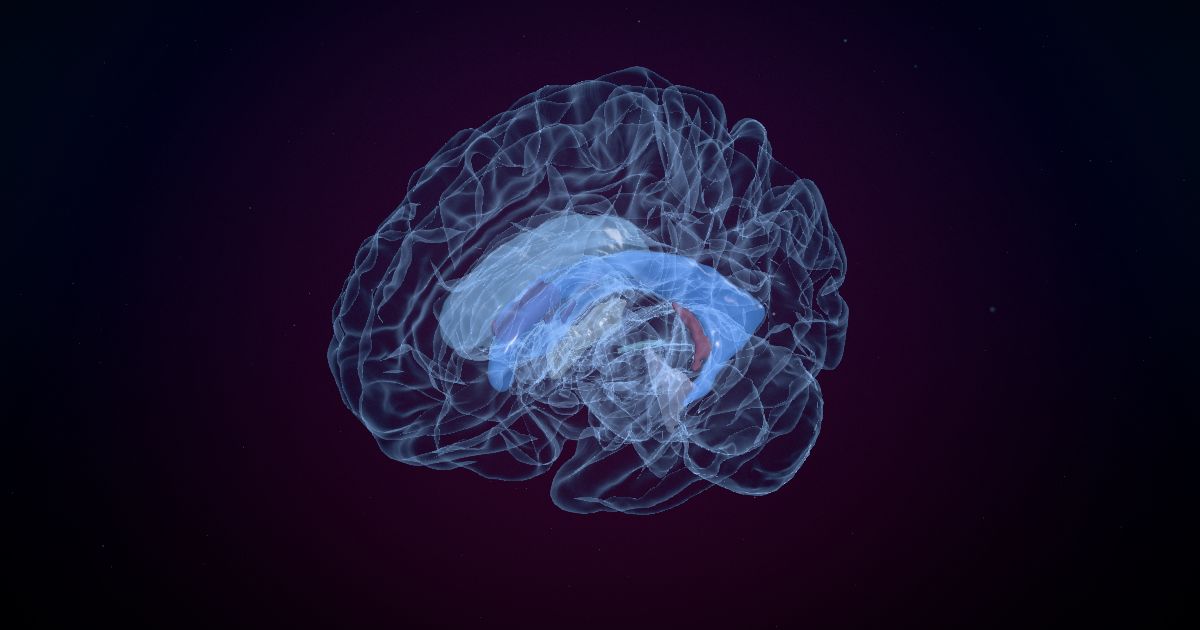The lateral ventricles in a 3D model of the brain