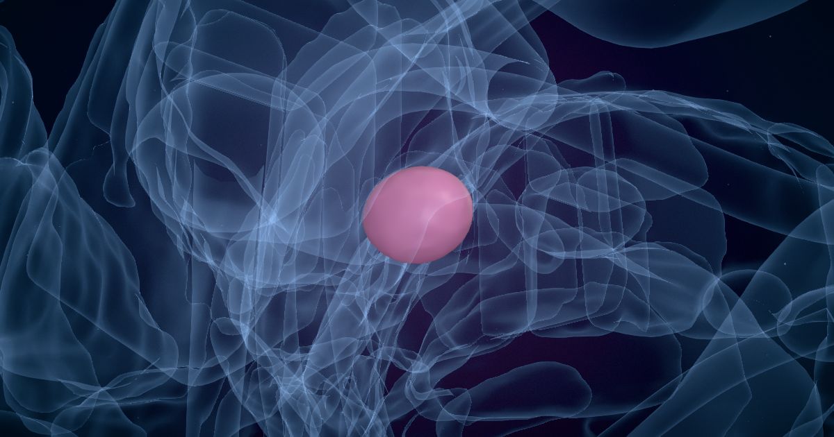 The medial geniculate nucleus in a 3D model of the brain