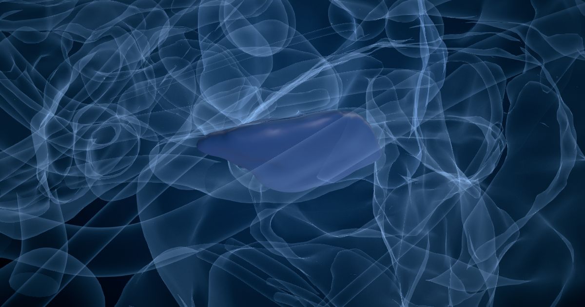 The substantia nigra pars compacta lit up in a 3D model of the human brain
