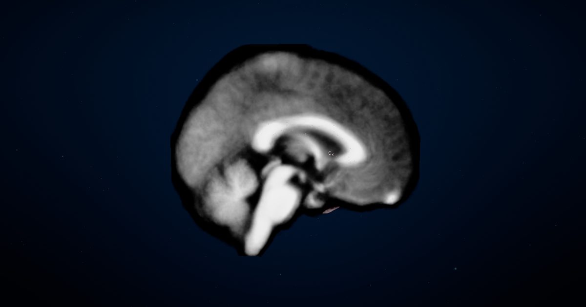 How scientists study the brain in a 3D model of the brain